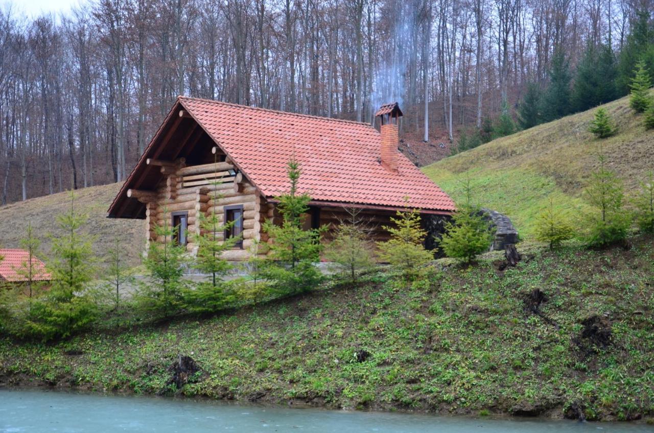 Vila Комплекс Скала Serednye Vodyane Exteriér fotografie